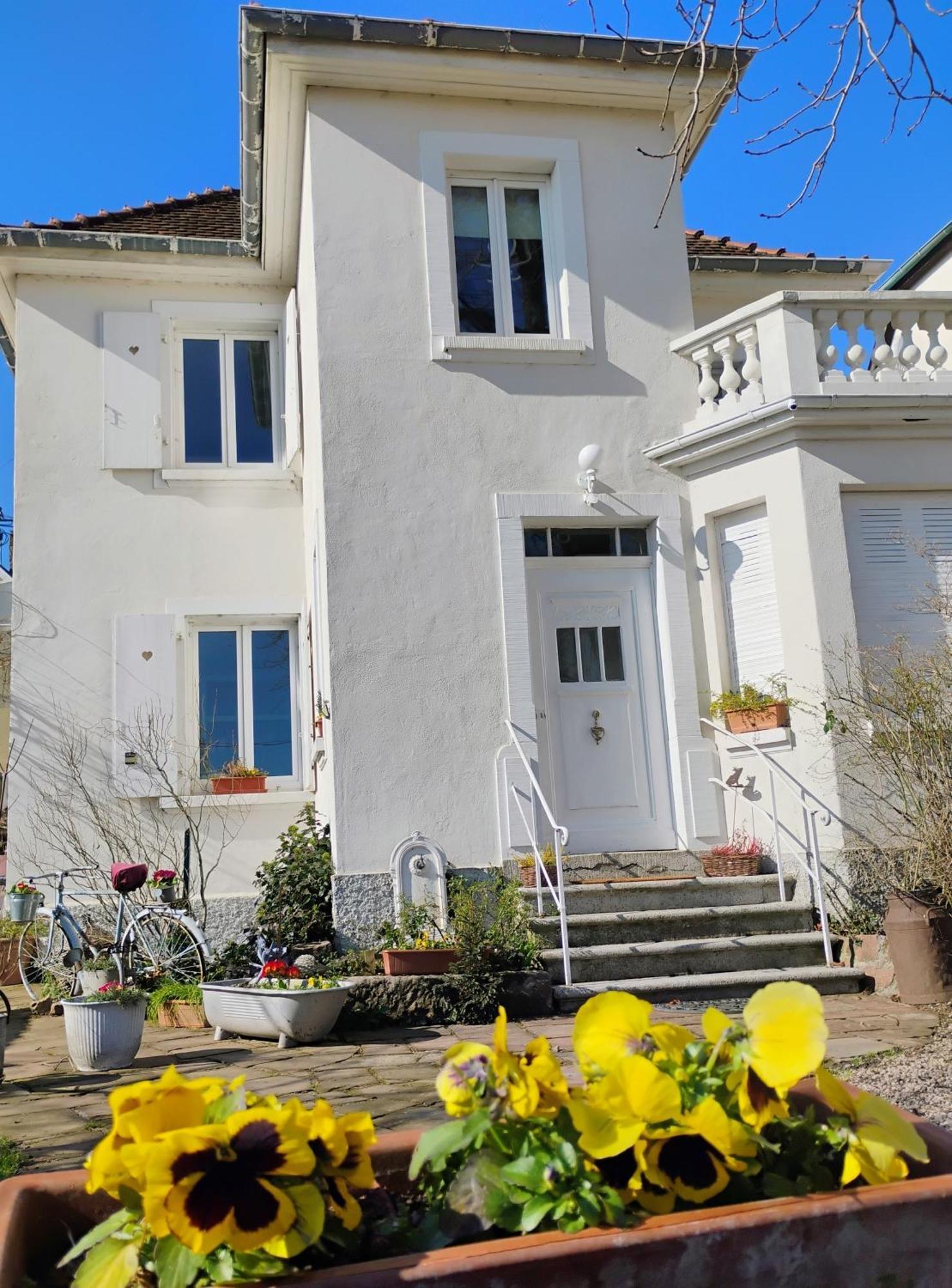 Gite Le Marronnier - Au Calme - Parking & Terrasse - Pres De Colmar Et Riquewihr - Route Des Vins Châtenois Exterior foto