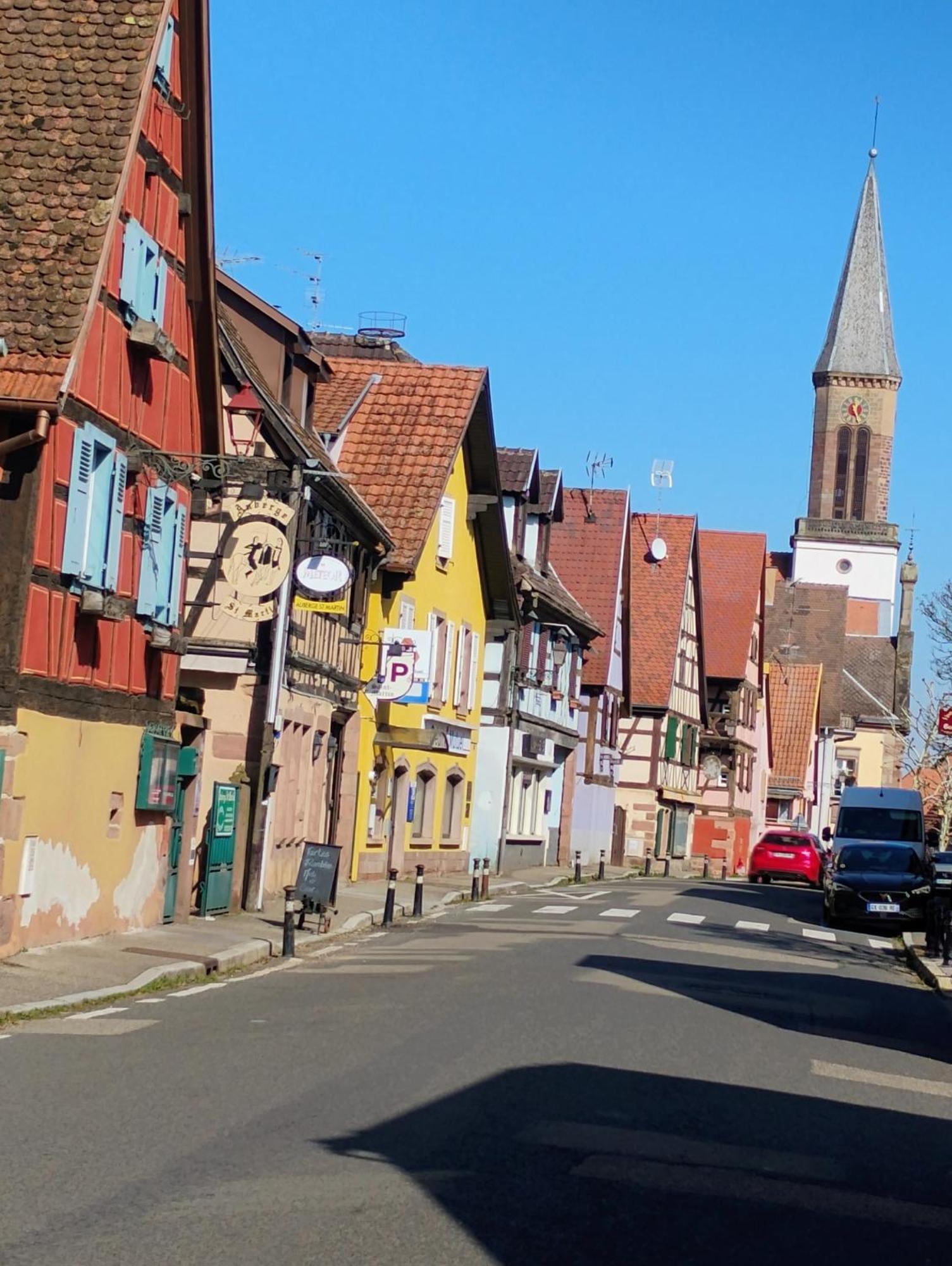 Gite Le Marronnier - Au Calme - Parking & Terrasse - Pres De Colmar Et Riquewihr - Route Des Vins Châtenois Exterior foto
